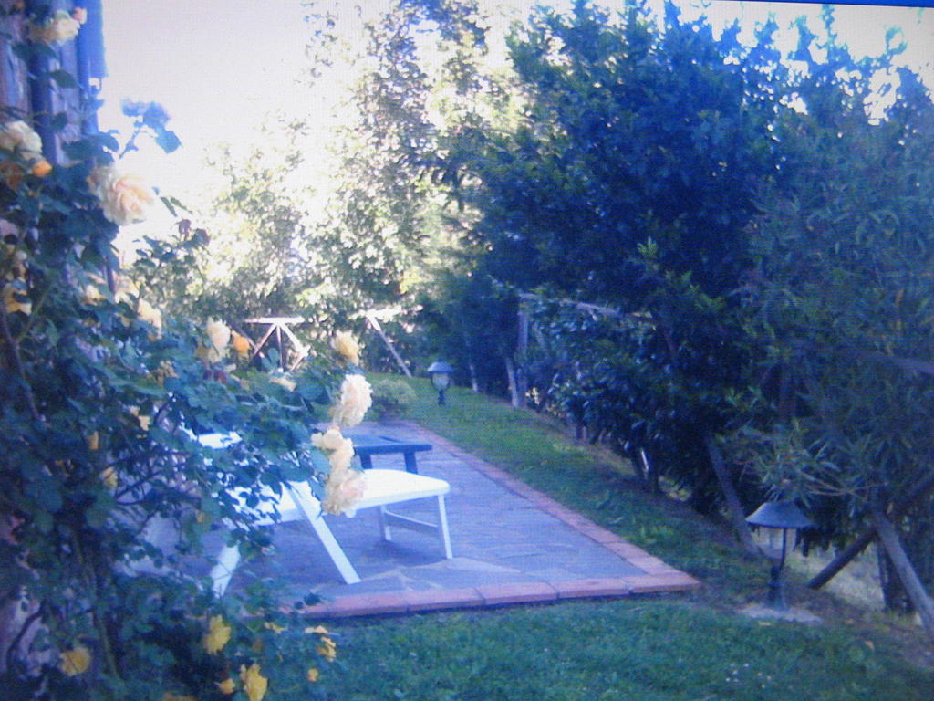 Certine Agriturismo อัสเชียโน ภายนอก รูปภาพ