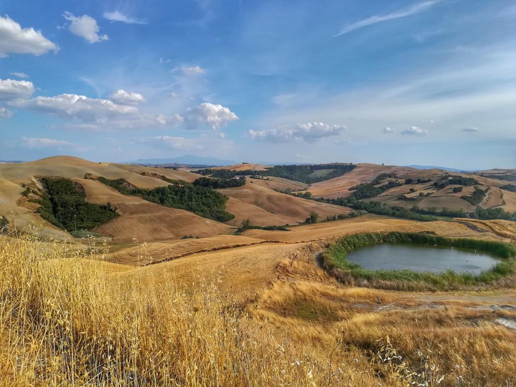 Certine Agriturismo อัสเชียโน ภายนอก รูปภาพ