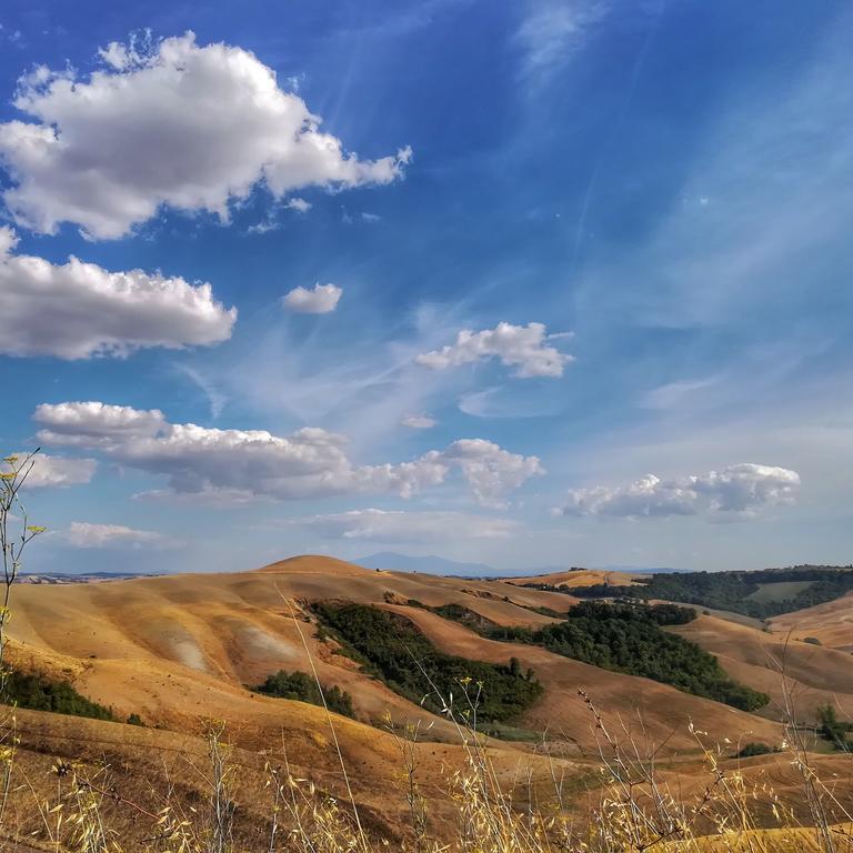Certine Agriturismo อัสเชียโน ภายนอก รูปภาพ