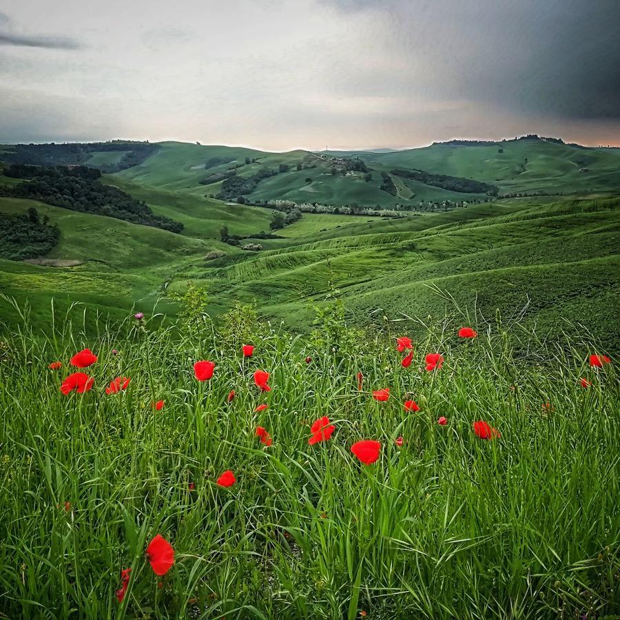 Certine Agriturismo อัสเชียโน ภายนอก รูปภาพ